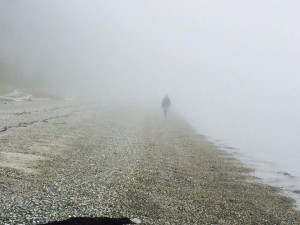 Walking in a fog