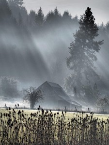 Winter Barn by Sandy Brown Jensen