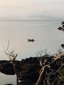 Savor the Tide