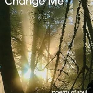 Something Will Change Me by Don Hynes cover