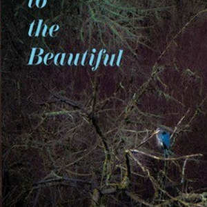 Stranger to the Beautiful